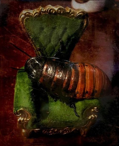 Жуткие десерты эндрю фуллера. 04