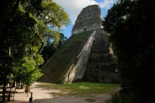 Тикаль - руины древнего города цивилизации Майя. 01