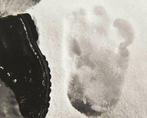 В Гималаях засняли цепочку следов йети. 01