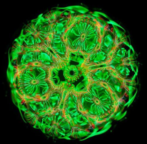 Как выглядит звук: фотограф получил уникальные изображения акустических волн. 01