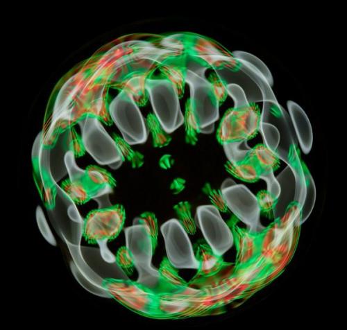 Как выглядит звук: фотограф получил уникальные изображения акустических волн. 07