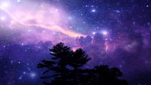 Человеку свойственно принимать границы собственного кругозора за границы мира. 01