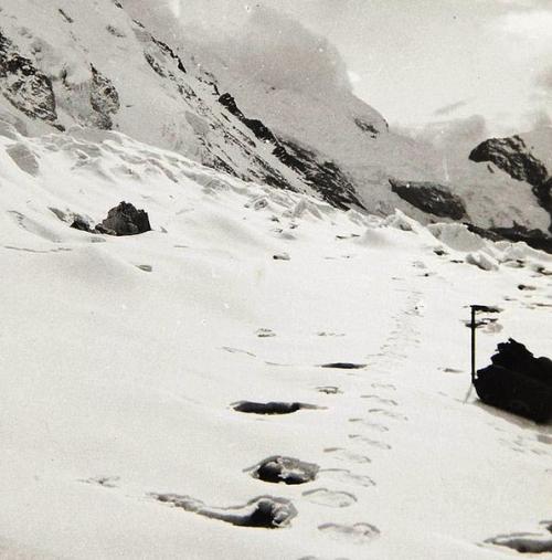 В Гималаях засняли цепочку следов йети. 02