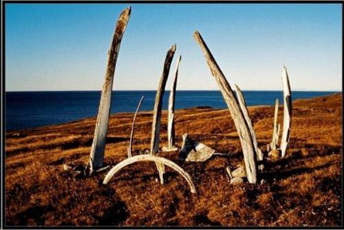 Китовая аллея, Чукотка. 04