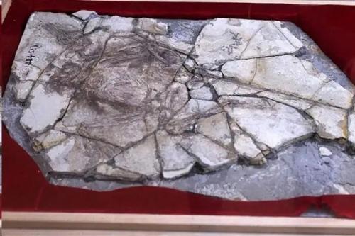 Самые большие научные мистификации в истории. 08