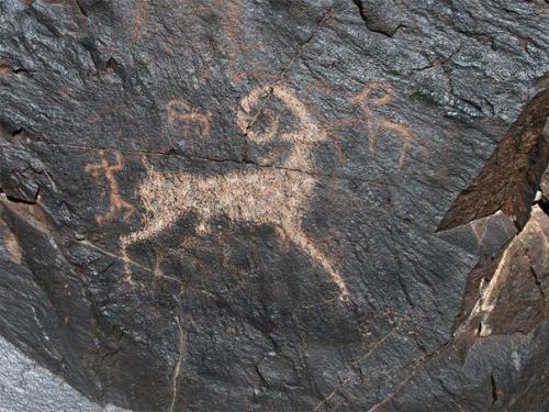 Курганы бесшатыр.  Семиречье. 05