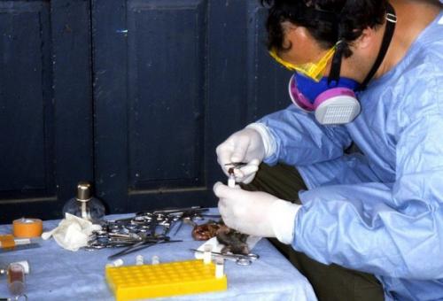 Житель сша госпитализирован с лихорадкой ласса.