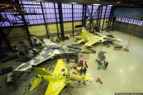 Обитатели Домашних Тропиков: растения для ванной комнаты. 02 Обитатели Домашних Тропиков: растения для ванной комнаты. 02