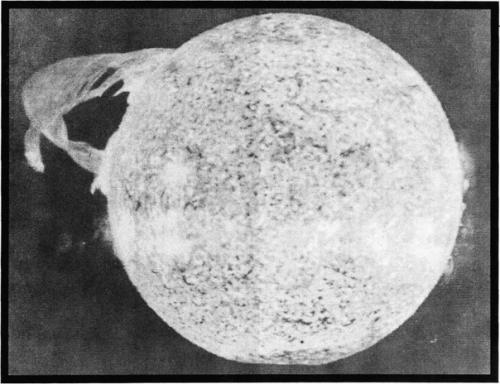 Интересные научные факты! 04 Интересные научные факты! 04