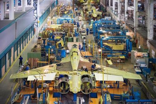 Обитатели Домашних Тропиков: растения для ванной комнаты. 04 Обитатели Домашних Тропиков: растения для ванной комнаты. 04