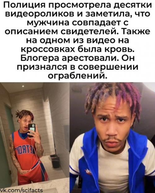 Фбр арестовало звезду Tiktok за грабежи. 02