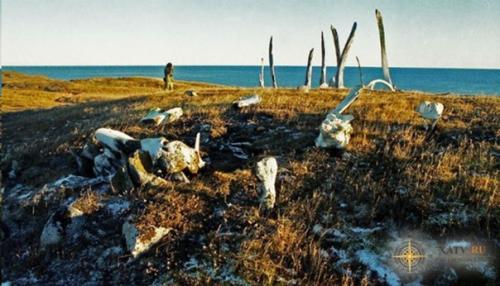 Китовая аллея, Чукотка. 03