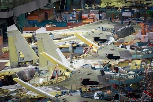 Обитатели Домашних Тропиков: растения для ванной комнаты. 01 Обитатели Домашних Тропиков: растения для ванной комнаты. 01