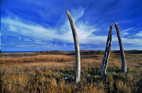 Китовая аллея, Чукотка. 02