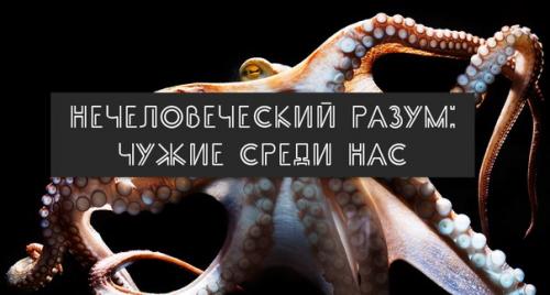 В поисках пришельцев большинство людей обращает взоры в космос.  