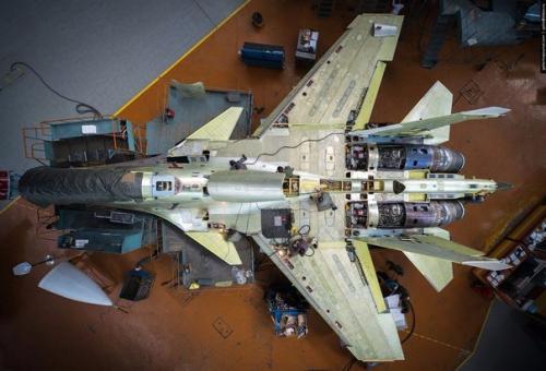 Обитатели Домашних Тропиков: растения для ванной комнаты. 05 Обитатели Домашних Тропиков: растения для ванной комнаты. 05