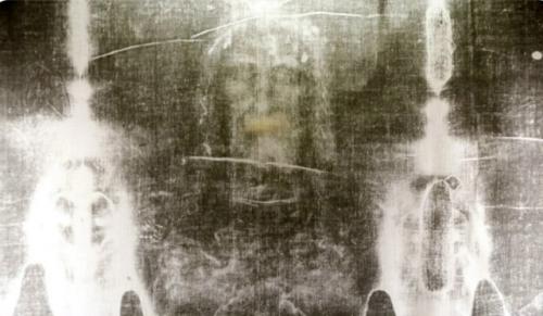 Метагеномный анализ определил принадлежность днк с туринской плащаницы.

