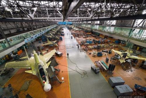 Обитатели Домашних Тропиков: растения для ванной комнаты. 06 Обитатели Домашних Тропиков: растения для ванной комнаты. 06