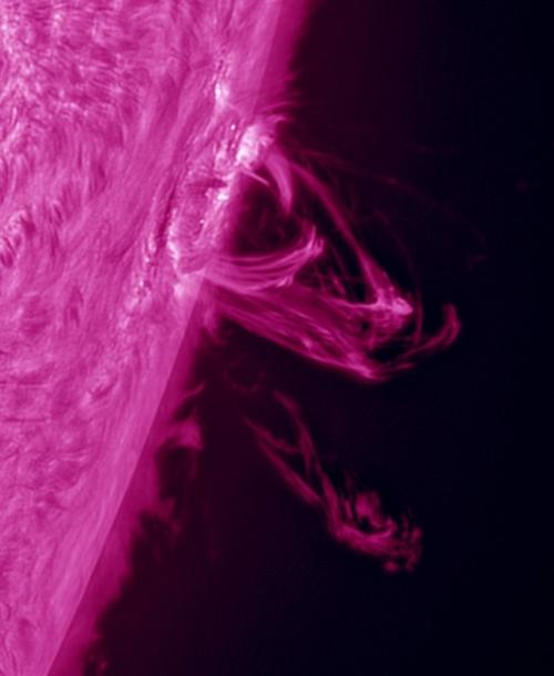 Интересные научные факты! 02 Интересные научные факты! 02