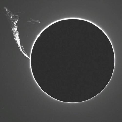 Интересные научные факты! 07 Интересные научные факты! 07