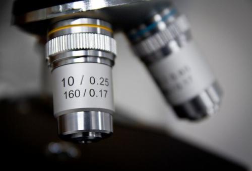 Ученые пробуют лечить рак таблетками от стресса.