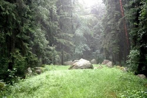 Мегалиты северной Германии. 08