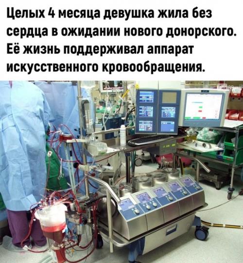 Выжить может любой - были бы деньги. 02