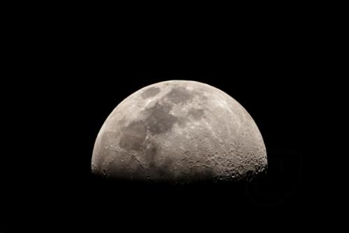 10 нелепых научных мифов. 04