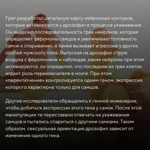Как современная нейробиология объясняет гомосексуальную ориентацию и полное равнодушие к сексу? 02