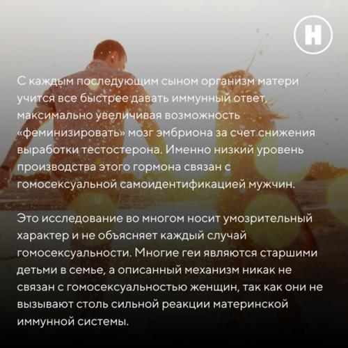 Как современная нейробиология объясняет гомосексуальную ориентацию и полное равнодушие к сексу? 04