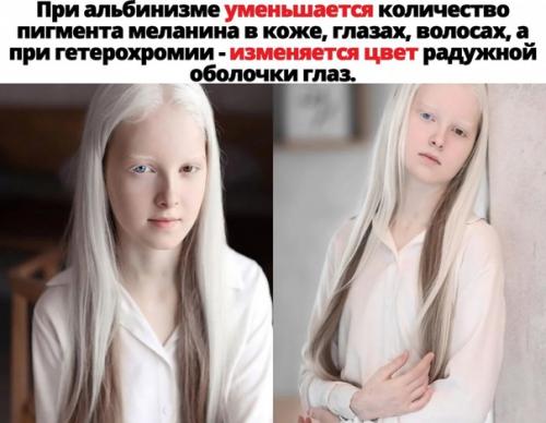 Зачем рано ложиться и рано вставать? 01 Зачем рано ложиться и рано вставать? 01