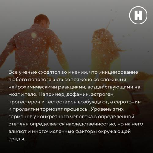 Как современная нейробиология объясняет гомосексуальную ориентацию и полное равнодушие к сексу? 06