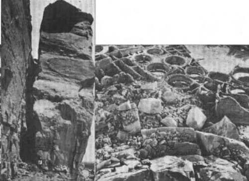 Тайна мистического Дерева Жизни в США разгадана. 04 Тайна мистического Дерева Жизни в США разгадана. 04