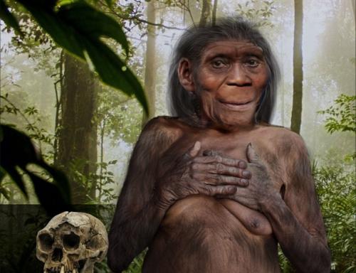 На Филлипинах обнаружили хоббитов. 03 На Филлипинах обнаружили хоббитов. 03