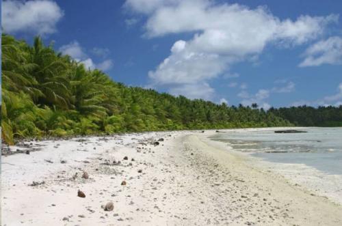 Атолл пальмира - небольшой группа коралловых остров в тихом океане. 01