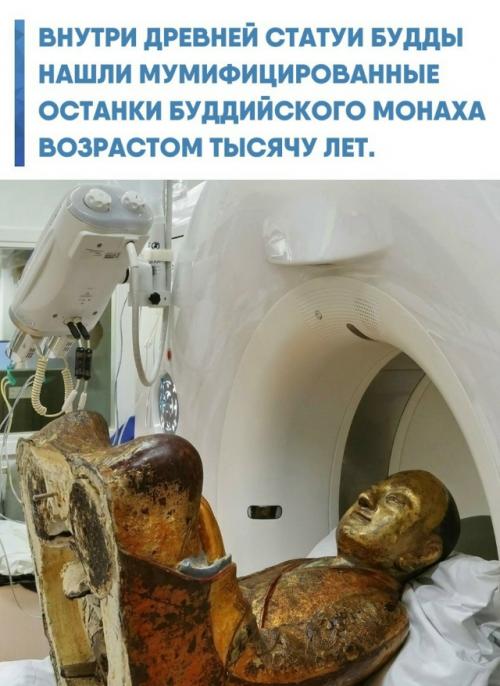 Частный владелец статуи отправил её на обычную реставрацию и даже не подозревал, что скрыто в оболочке.  