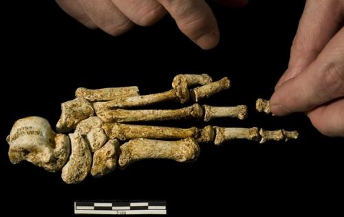 На Филлипинах обнаружили хоббитов. 01 На Филлипинах обнаружили хоббитов. 01