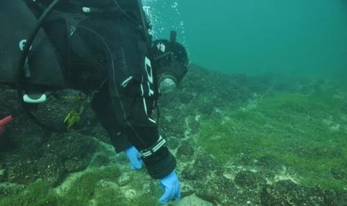 Подводный стоунхендж на дне боденского озера. 02 Подводный стоунхендж на дне боденского озера. 02