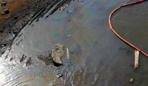 Чем опасен разлив нефти в акватории черного моря близ туапсе? 

