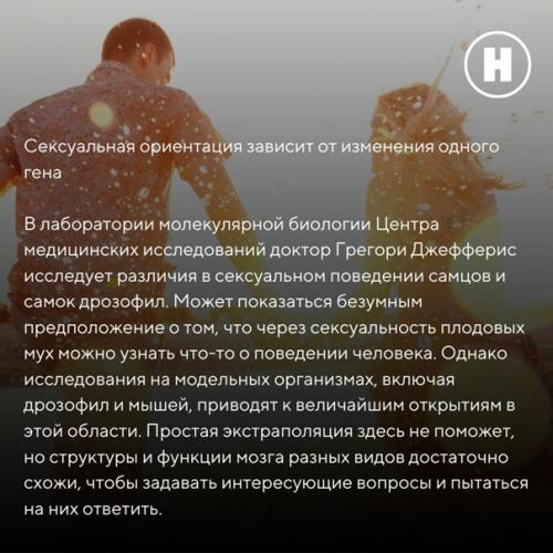 Как современная нейробиология объясняет гомосексуальную ориентацию и полное равнодушие к сексу? 01