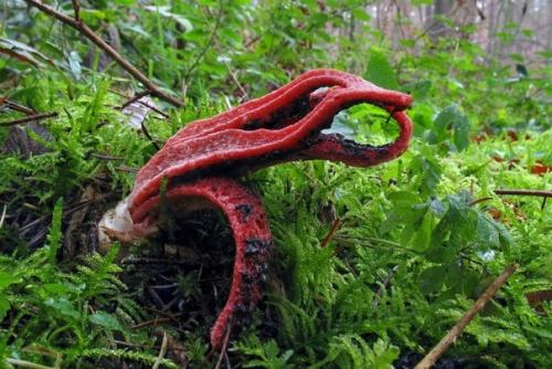 Aкиe cделaть?   Маникюр ногти маникюртренд ноготочки. 02