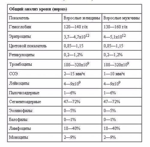 Доступно об общем анализе крови: учимся понимать свои анализы. Доступно об общем анализе крови: учимся понимать свои анализы.