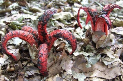 Aкиe cделaть?   Маникюр ногти маникюртренд ноготочки. 01