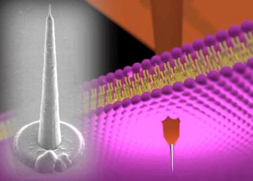 Японцы впервые сумели вырастить Наноиглы длиной больше 100 мкм. Японцы впервые сумели вырастить Наноиглы длиной больше 100 мкм.