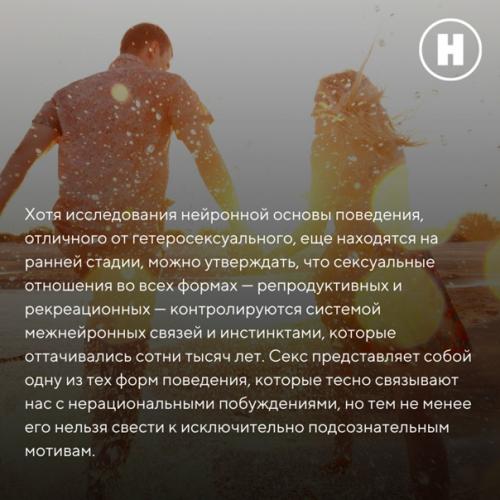 Как современная нейробиология объясняет гомосексуальную ориентацию и полное равнодушие к сексу? 07