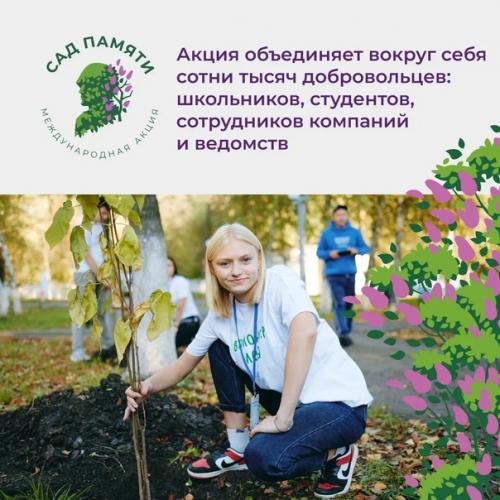 Высаживай деревья в память о героях вместе со звёздными артистами. 08