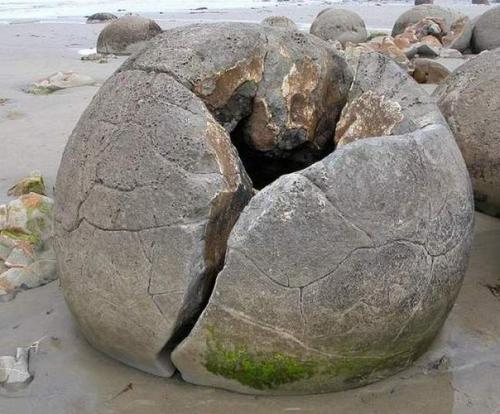 Валуны моераки (новая Зеландия). 05 Валуны моераки (новая Зеландия). 05