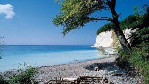 Где находится остров буян? 04 Где находится остров буян? 04