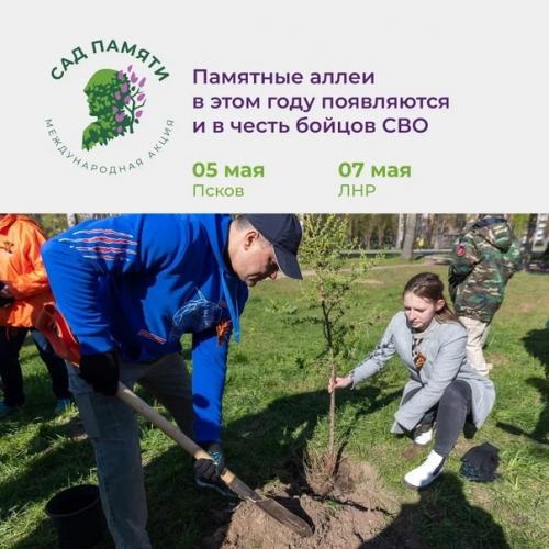 Высаживай деревья в память о героях вместе со звёздными артистами. 04