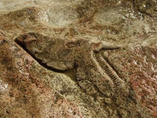 Загадочные рисунки на мысе Херсонес. 07